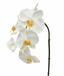 Umělá větev orchidej bílá 55 cm