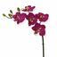 Umělá větev Orchidej fialová 50 cm