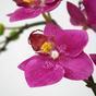 Umělá větev Orchidej fialová 50 cm