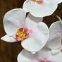 Umělá větev Orchidej růžovo-bílá 55 cm