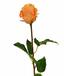 Umělá větev Růže oranžová 52 cm