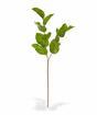 Umělá větev Salal 65 cm