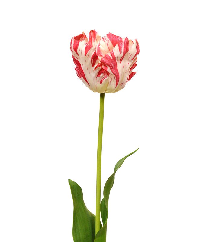 Umělý hedvábný tulipán Gogh 70 cm