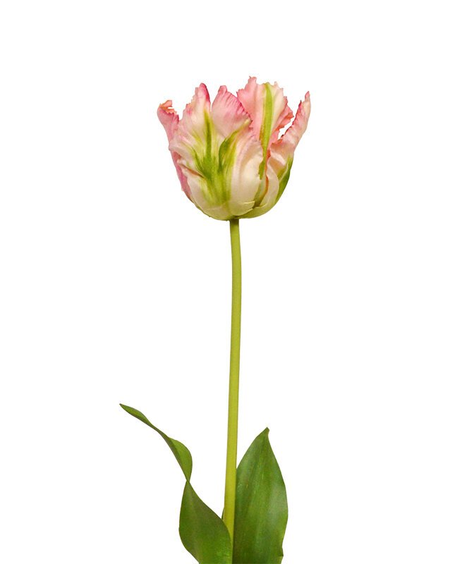 Umělá větev Tulipán 70 cm - zeleno růžový