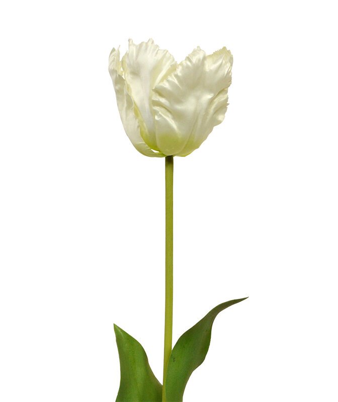 Umělá větev Tulipán 70 cm - krémový