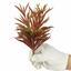 Umělá větvička Dianthus dvoubarevná 17,5 cm