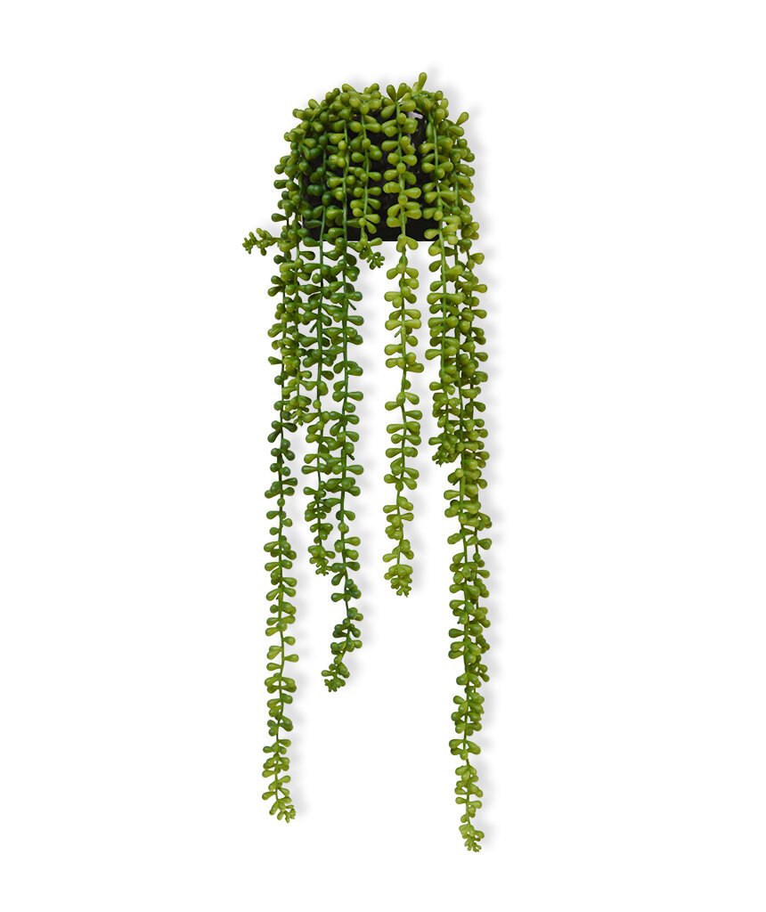 Závěsná umělá rostlina Senecio Pearl 55 cm
