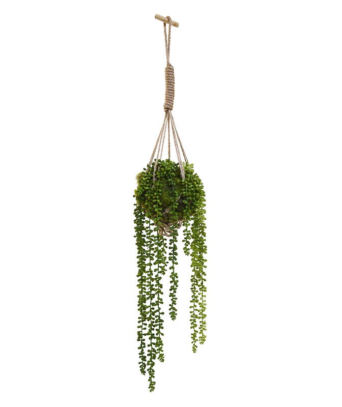 Umělý tropický sukulent Senecio herreianus 3x