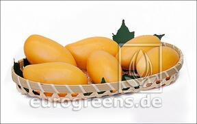 Umělé Mango žluté