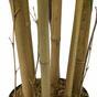 Umělý Bambus 150 cm