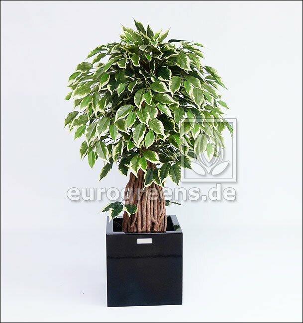 Umělý Bonsai Fíkus Liana 100 cm