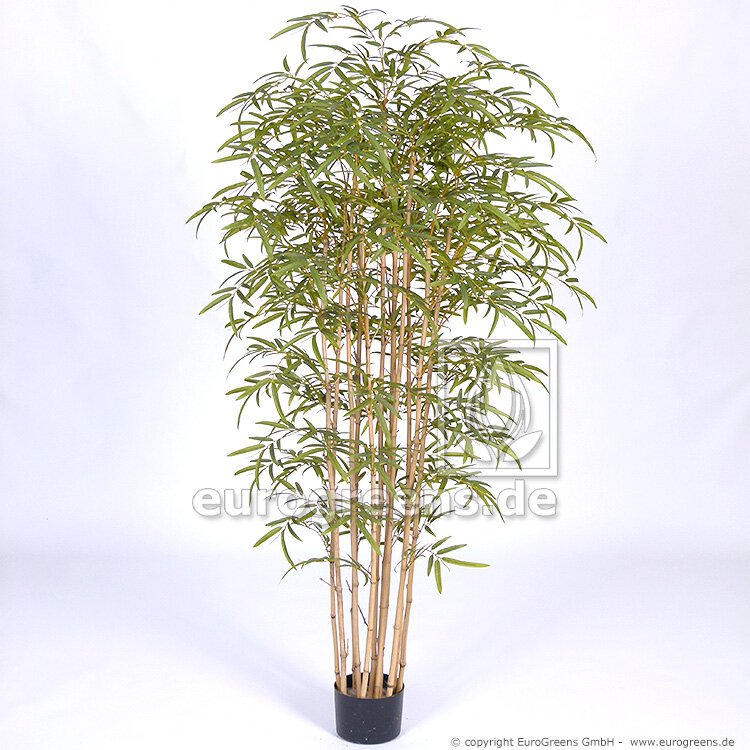 Umělý Japonský Bambus - přírodní kmen 180cm