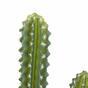 Umělý kaktus 69 cm