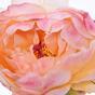 Umělý květ Pivoňka růžová 55 cm