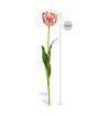 Umělý květ Tulipán červeno-bílý 70 cm