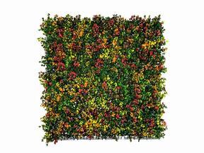 Umělý květinový panel Leucadendron - 50x50 cm