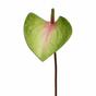 Umělý list Anthurium růžovo-zelený 50 cm