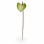 Umělý list Anthurium růžovo-zelený 50 cm