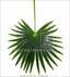 Umělý list palma Livistona 90 cm