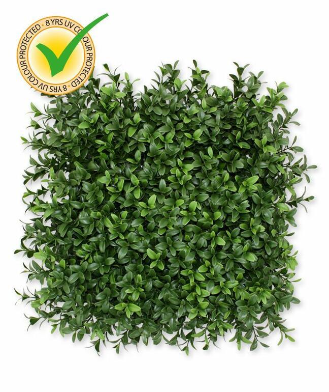 Umělý listnatý panel Buxus - 25x25 cm