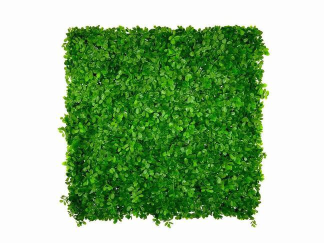Umělý listnatý panel Ficus microcarpa - 50x50 cm