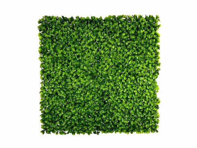 Umělý listnatý panel Peperomia - 50x50 cm