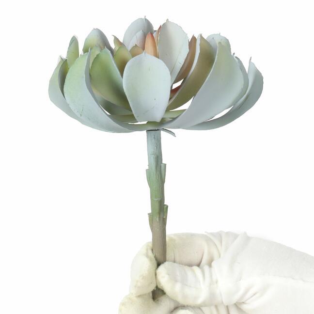 Umělý Lotus sivoružový 14 cm