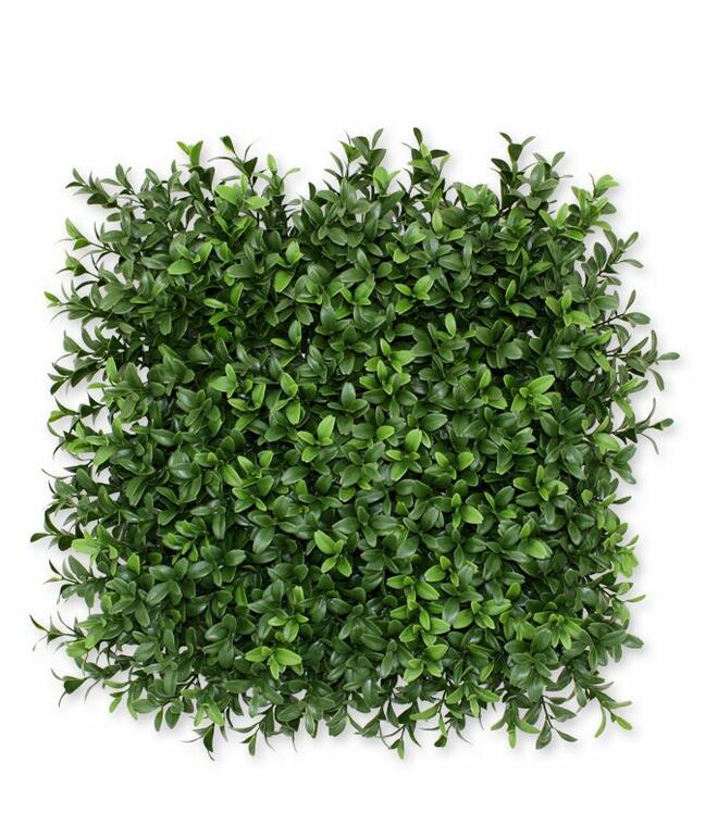 Umělý panel Buxus - 25x25 cm