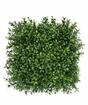 Umělý panel Buxus - 25x25 cm