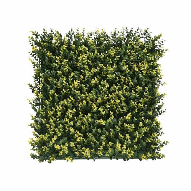 Umělý panel Buxus - 50x50 cm