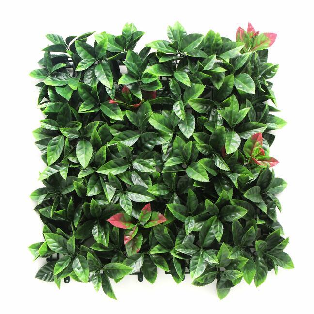 Umělý panel Photinia - 50x50 cm