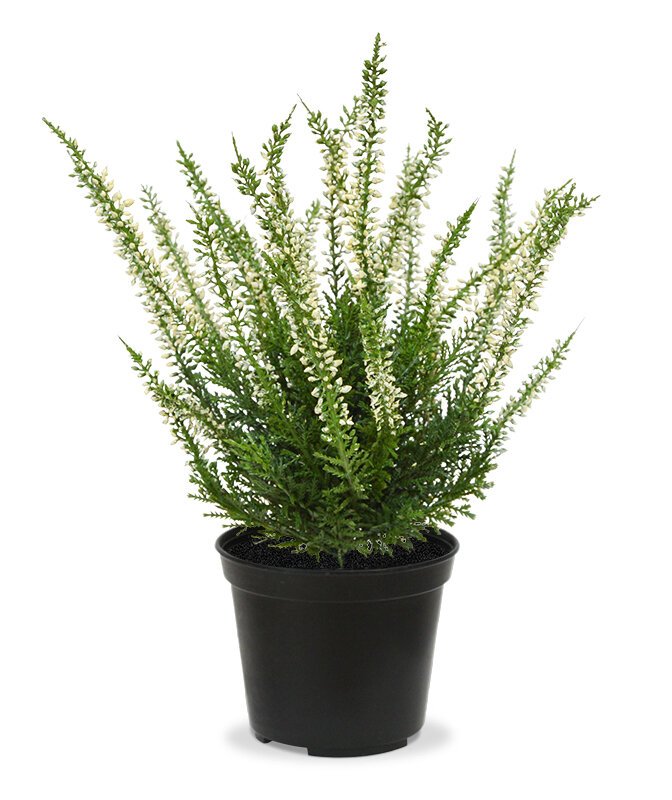 Umělá krémová rostlina Vřes 25 cm