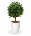 Umělý strom Buxus kulatý 25 cm