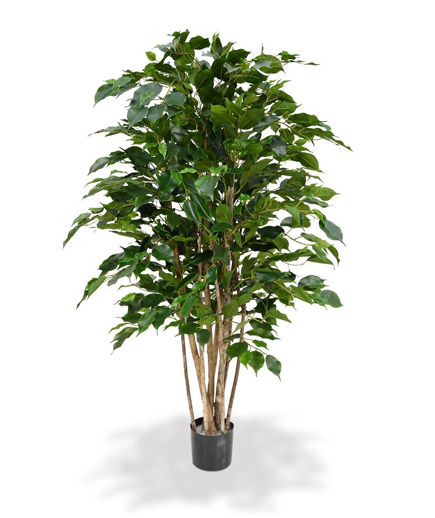 Umělý Fíkus Exotica 125 cm