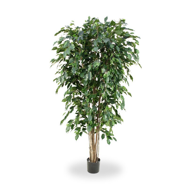 Umělý strom Ficus Exotica Deluxe 180 cm - zelený