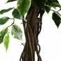 Umělý strom Fíkus liána 150 cm