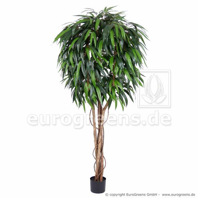 Umělý strom Fíkus longifolia 170 cm