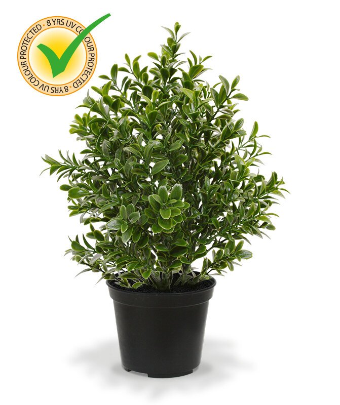 Umělá rostlina Buxus 30 cm