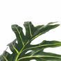 Umělý strom Philodendron 140 cm
