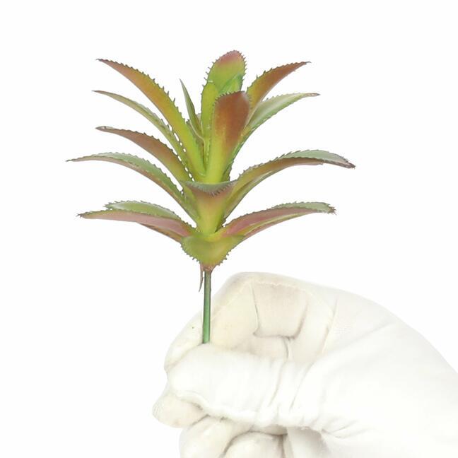 Umělý sukulent Aeonium arboreum 14 cm