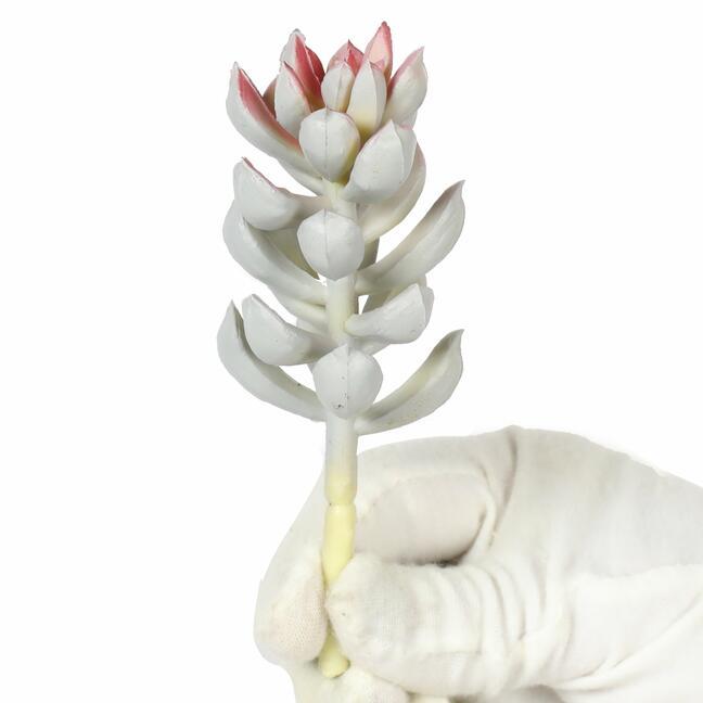 Umělý sukulent Echeveria 15 cm