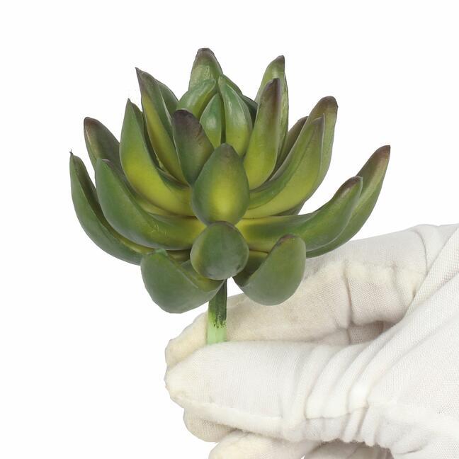 Umělý sukulent Echeveria zelená 10 cm