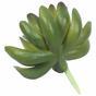 Umělý sukulent Echeveria zelená 10 cm