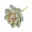 Umělý sukulent lotos Eševéria Elegans 9,5 cm