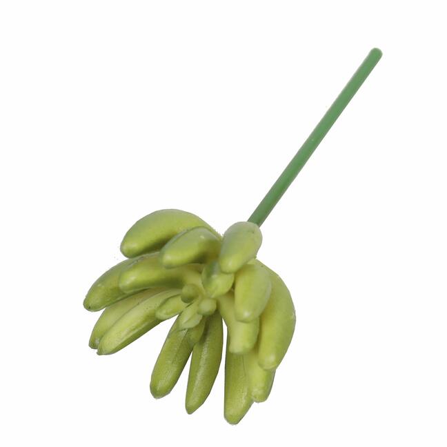 Umělý sukulent lotos Eševéria zelený 9 cm