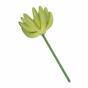 Umělý sukulent lotos Eševéria zelený 9 cm