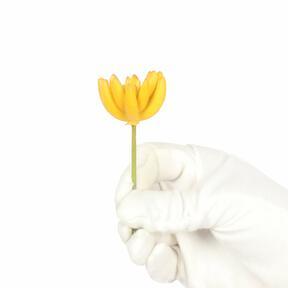 Umělý sukulent lotos Eševéria žlutá 9 cm