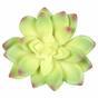 Umělý sukulent lotos Guanyin 13,5 cm