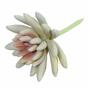 Umělý sukulent lotus Eševéria bílá 10,5 cm