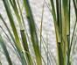 Umělý svazek trávy Bambus v květináči 80 cm